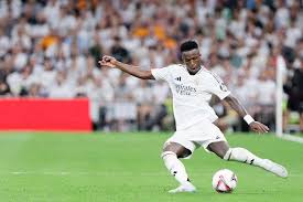 个团队的精 个团队的精